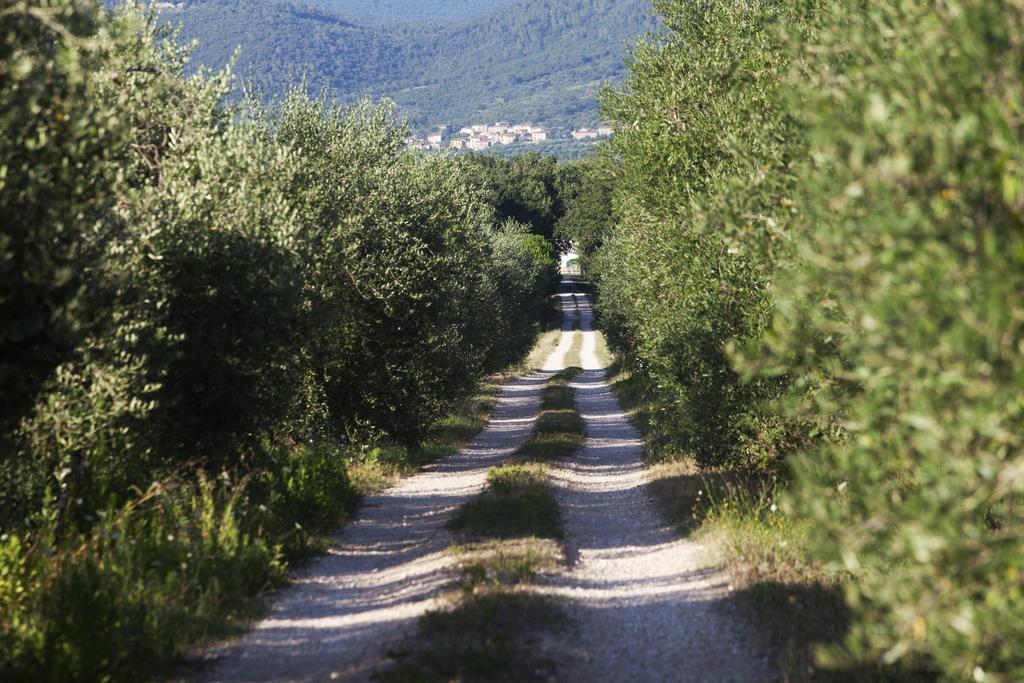 Pietraia Borgo Irisヴィラ エクステリア 写真