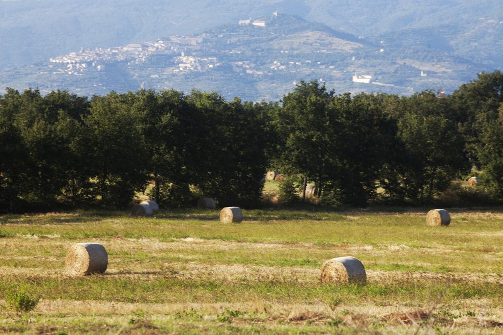 Pietraia Borgo Irisヴィラ エクステリア 写真